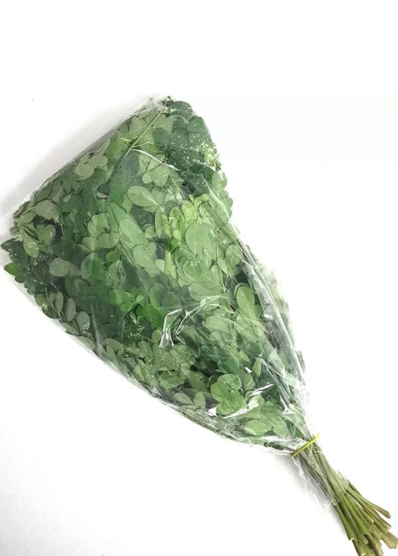 Fresh Moringa/Drumstick Leaves Bunch