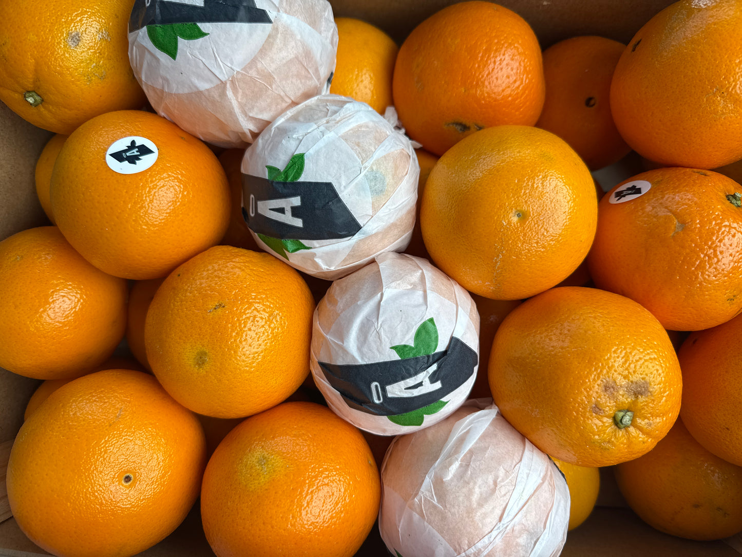 Red/Blood Oranges 1kg