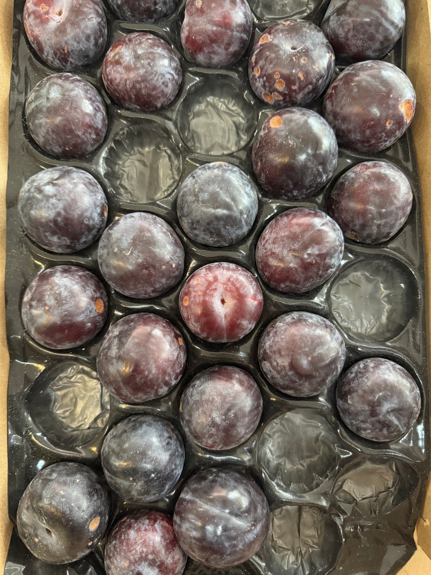 XL Plums 3pc