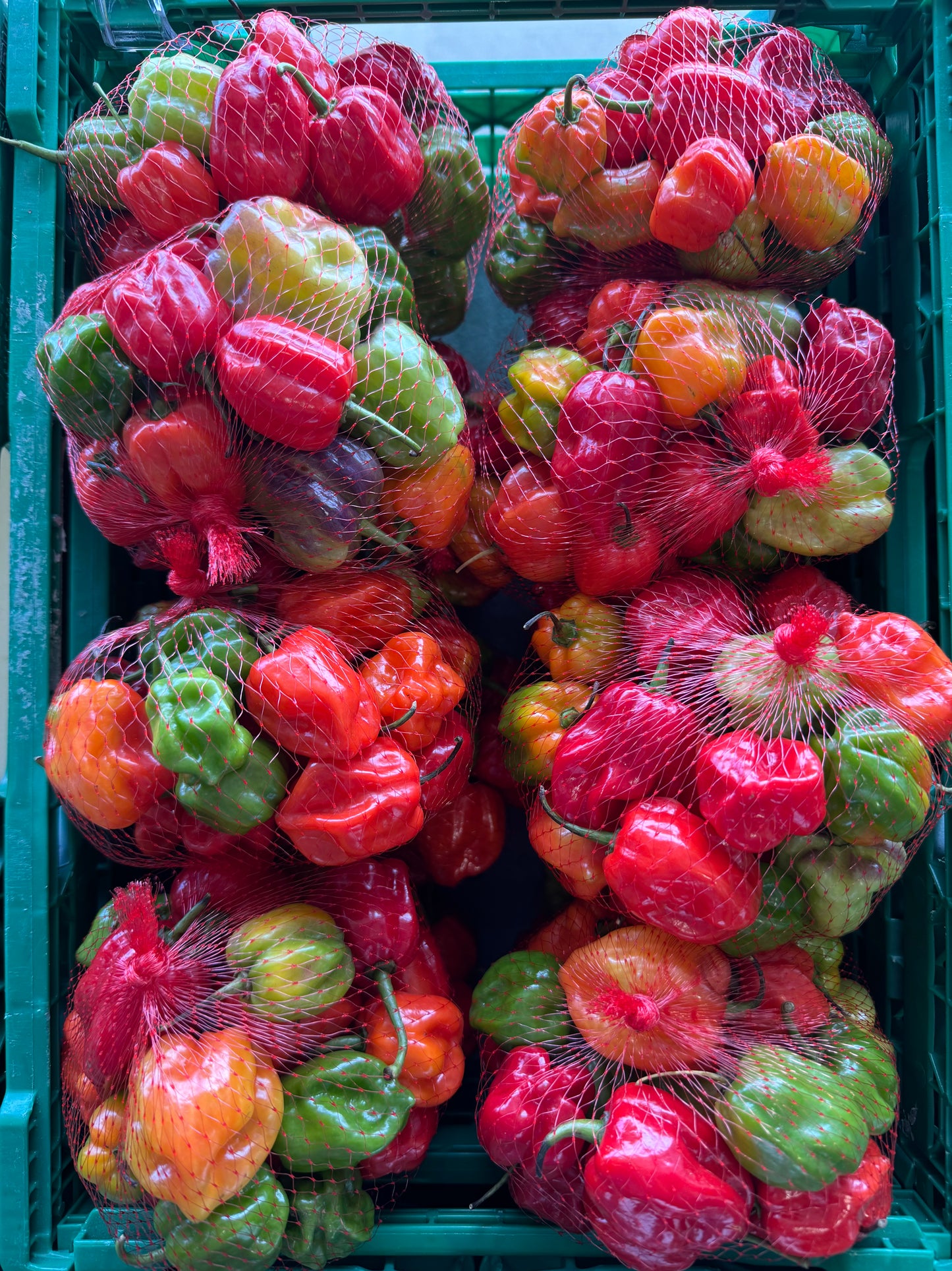 Scotch bonnet Bag 200g