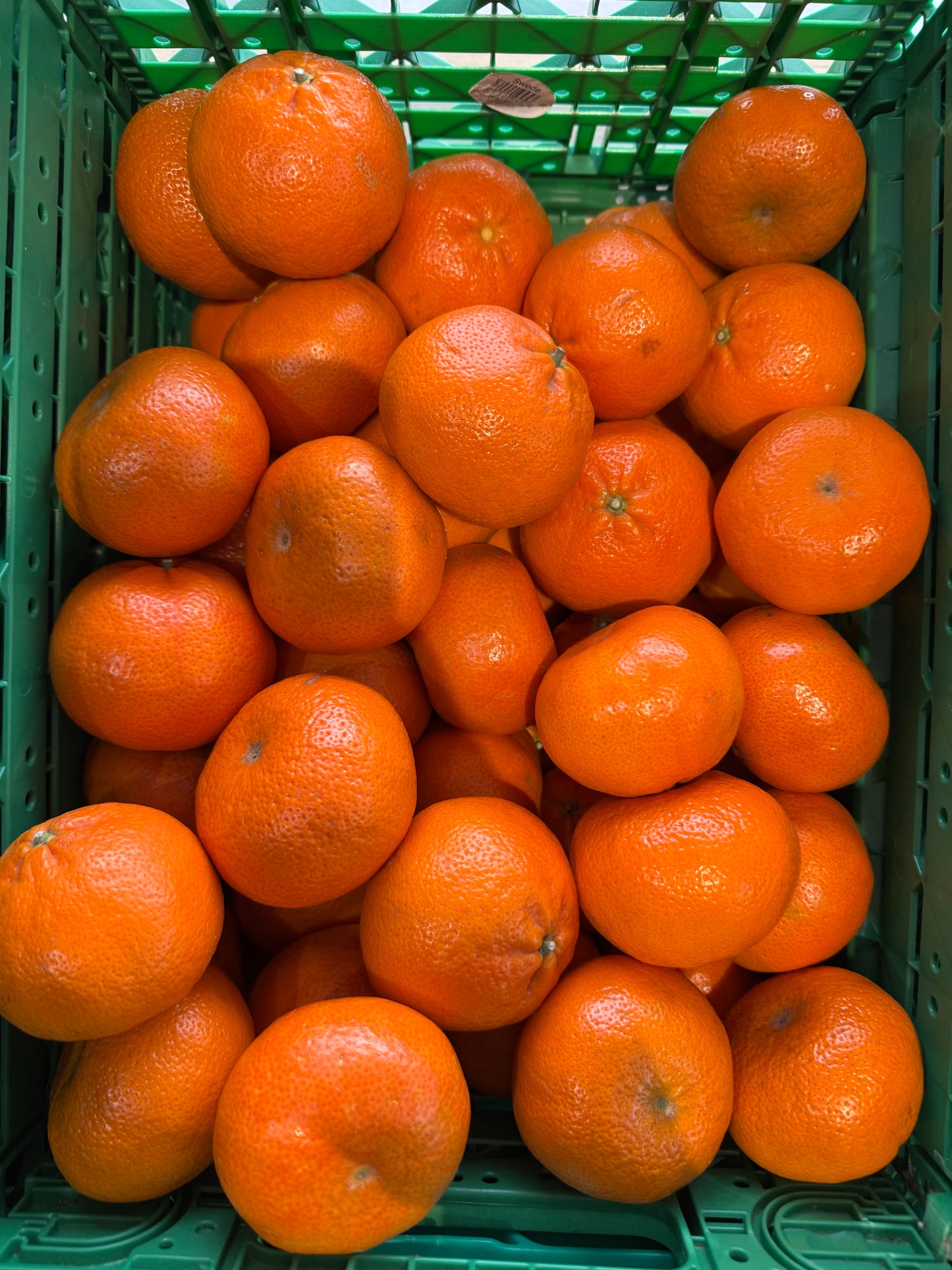 Clementines 3pc