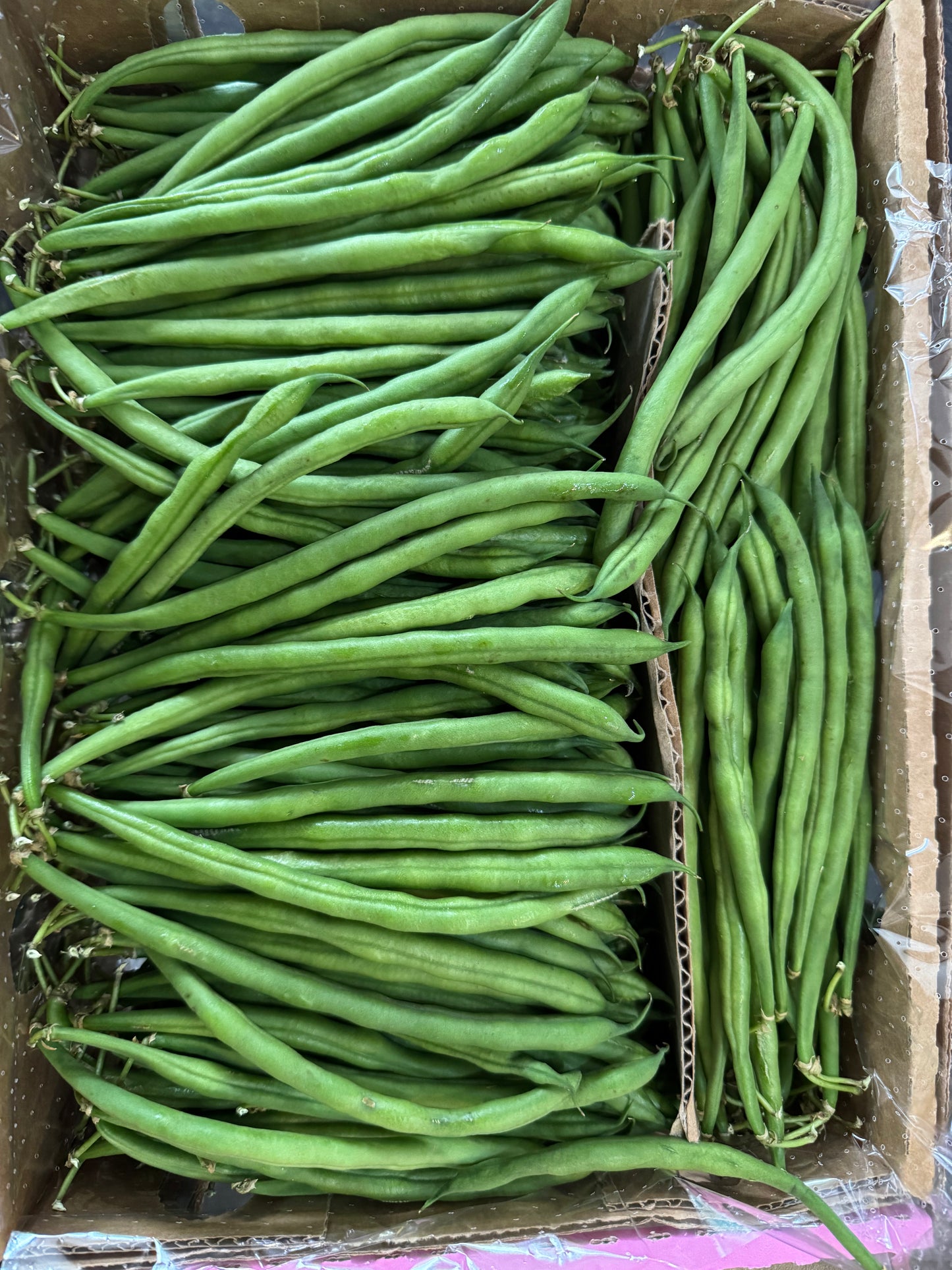Fine Green Beans 1.5kg Box