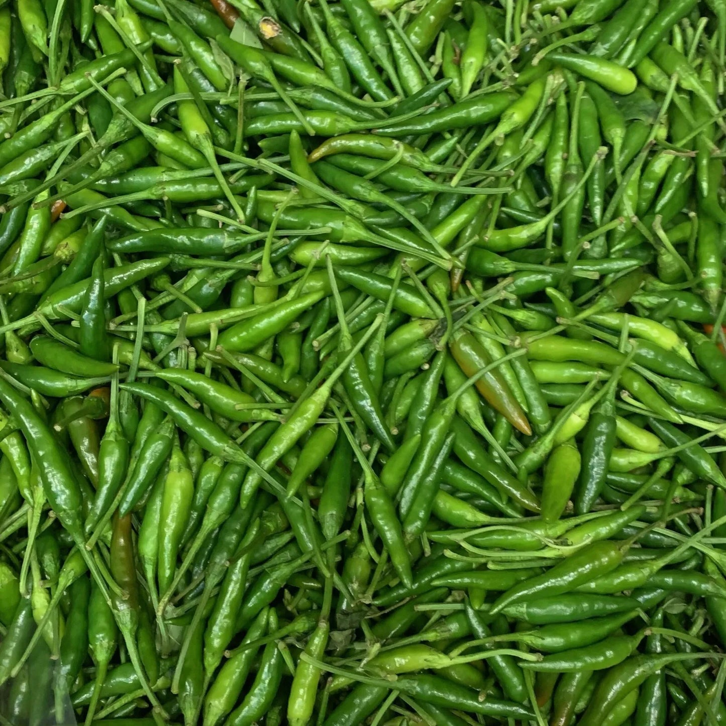 Green Bird Eye Chilli Per 1000g
