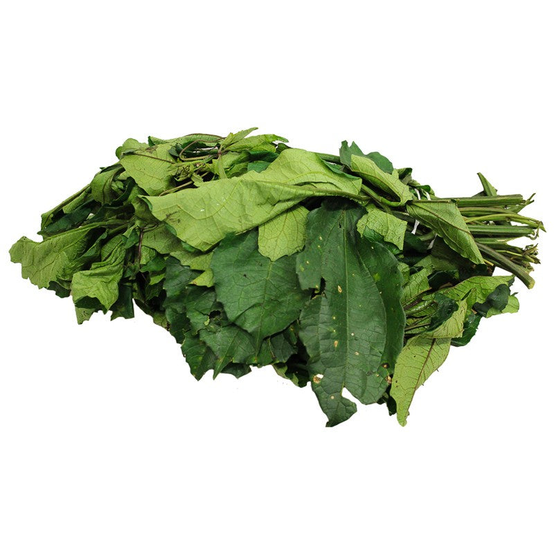 Fresh Ugu Leaf Bunch