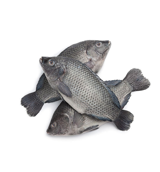 Tilapia (Medium Size) 2.5Kg Bag