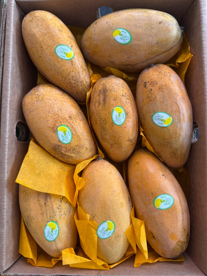 Roshan Alphonso Sindhri Chousa Honey Mango each