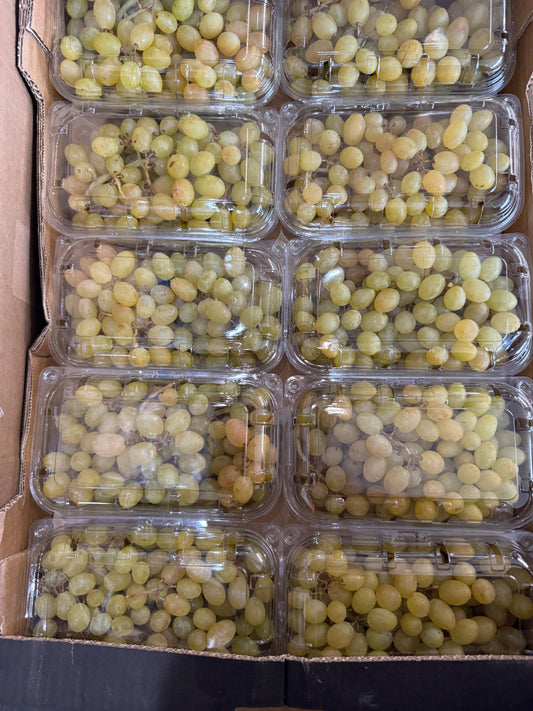 White Golden Grapes