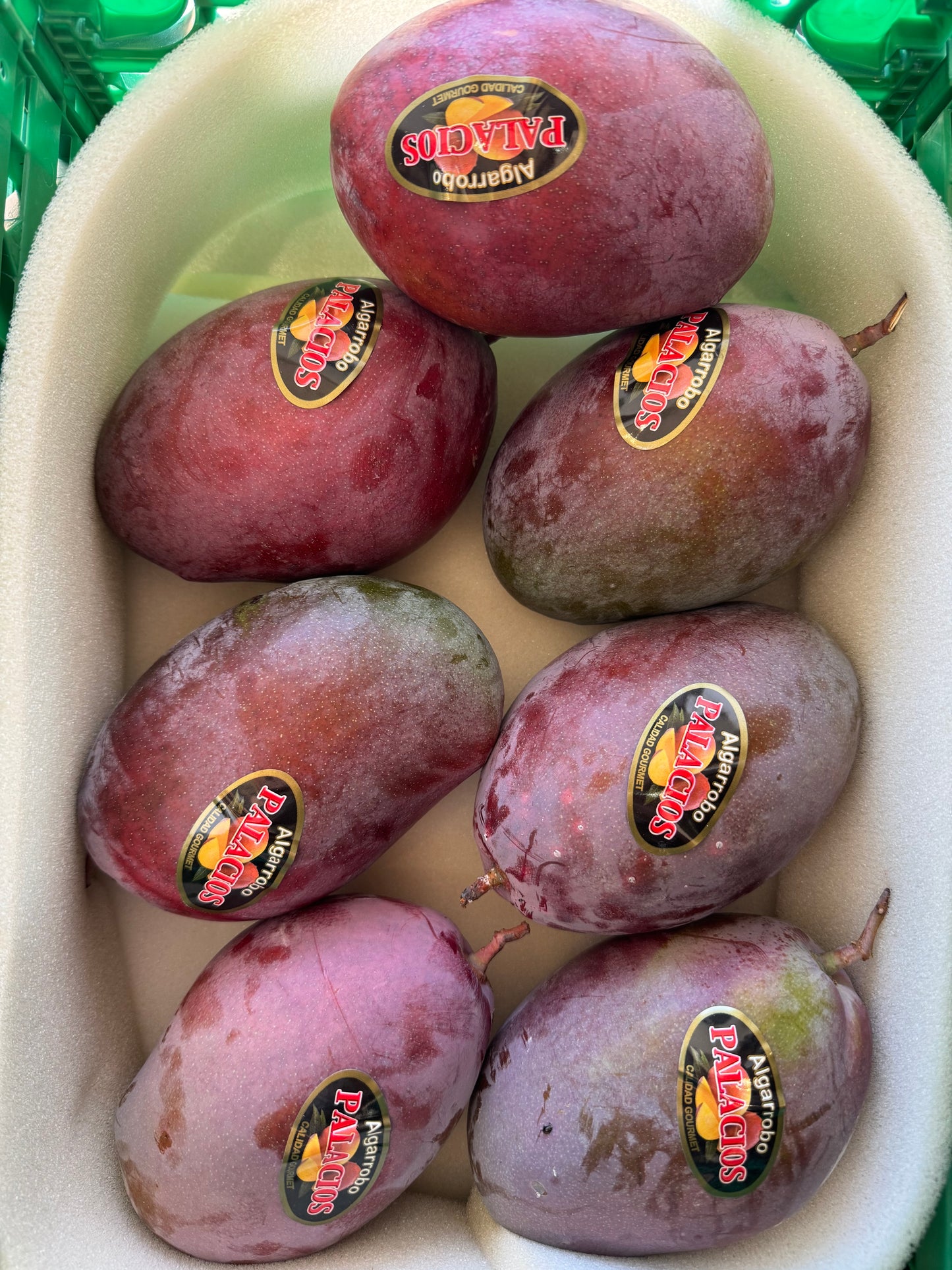 Large Egyptian Mango