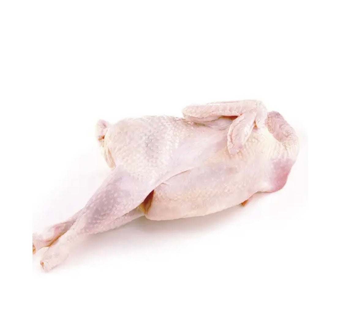 Whole Hard Chicken/ Whole Hen Ready to cook