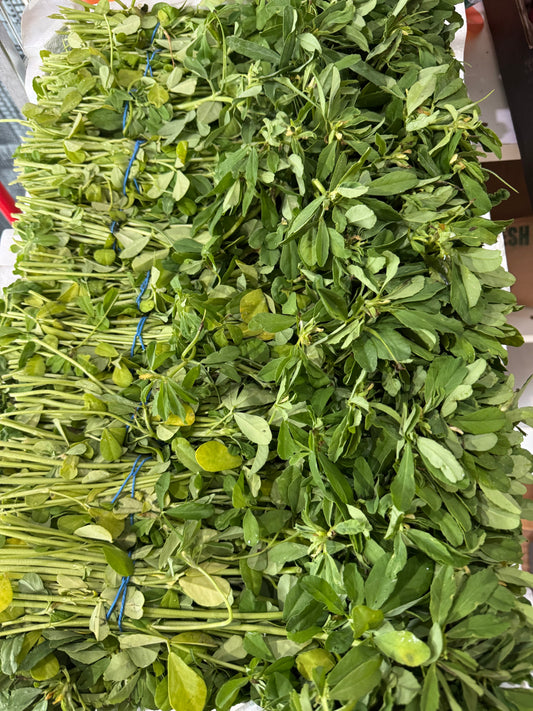 Methi Leaves Bunch