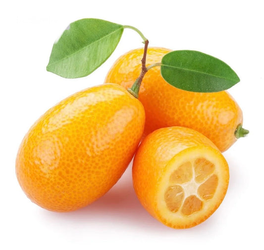 Citrus Kumquat