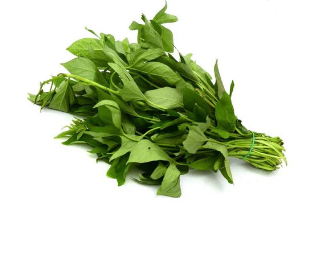 Fresh Bitter Leaf Bunch