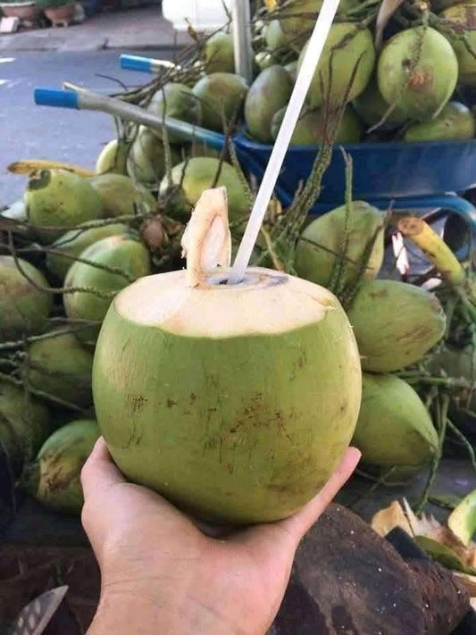 Green Drinking Coconut