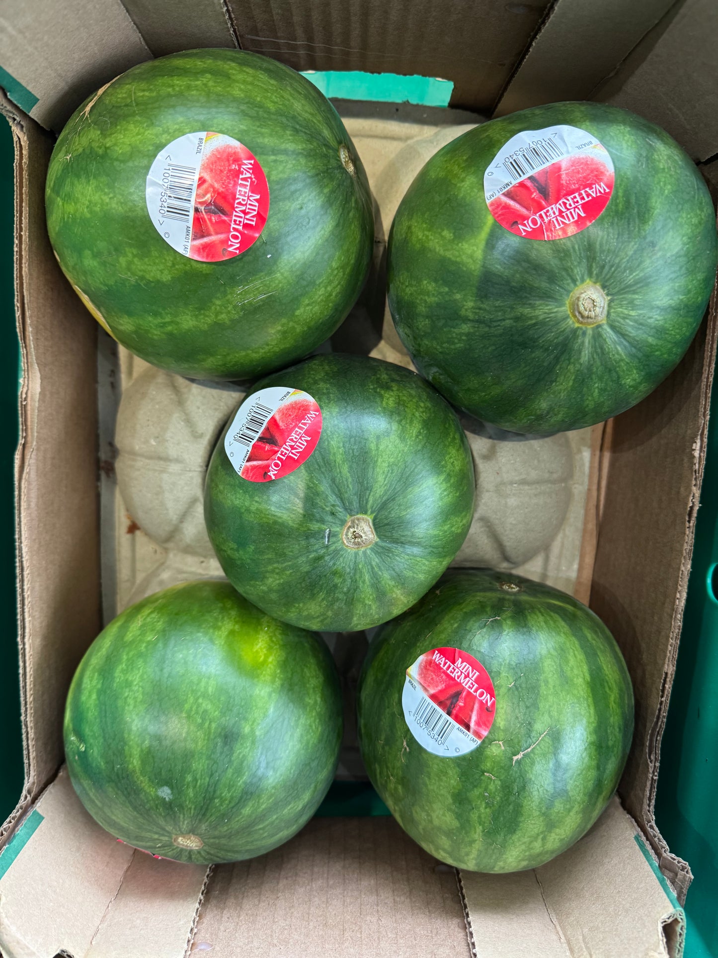 Baby Watermelon each