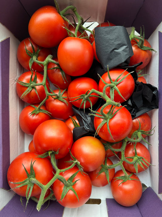 Vine Tomatoes Box
