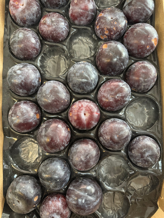 XL Plums 3pc