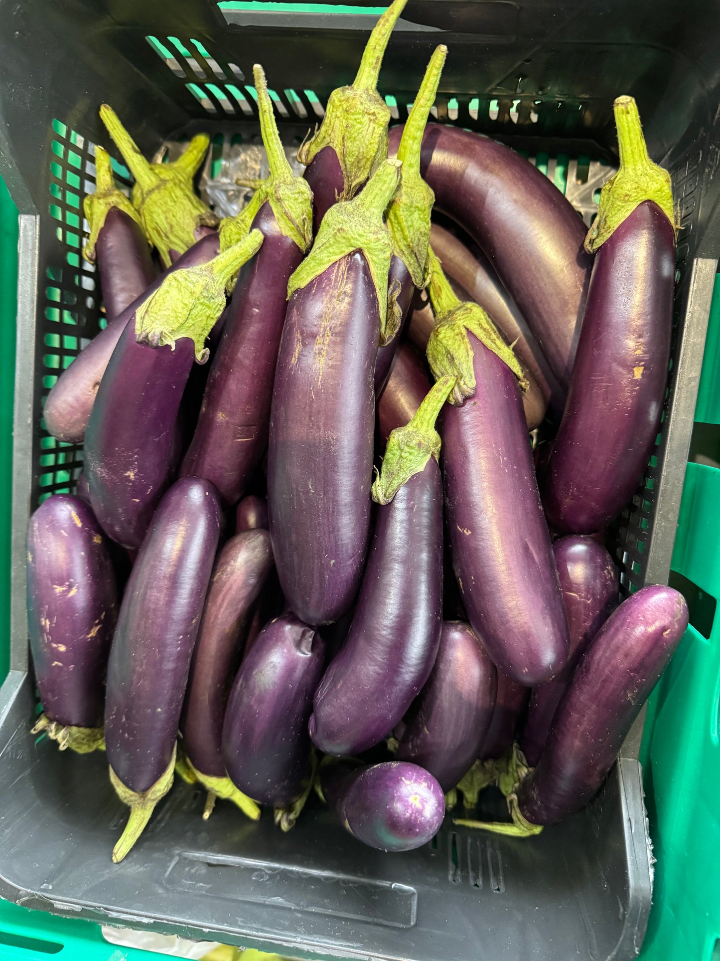 Long Aubergines kg