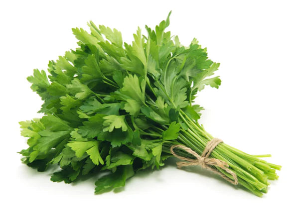 Fresh Parsley Bunch