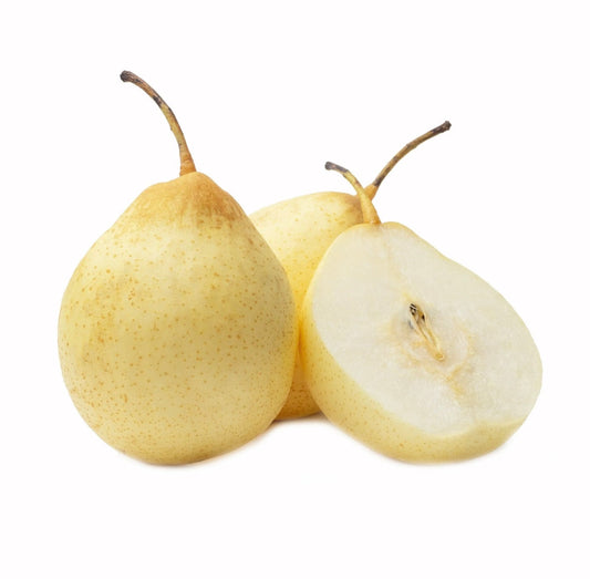 Chinese Pear