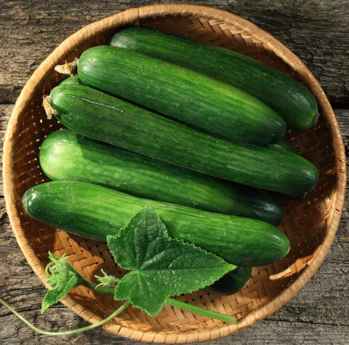 Cucumber