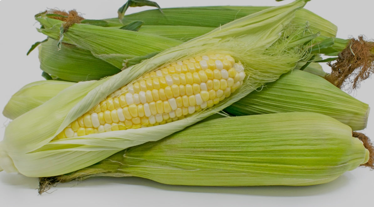 Corn on the Hob