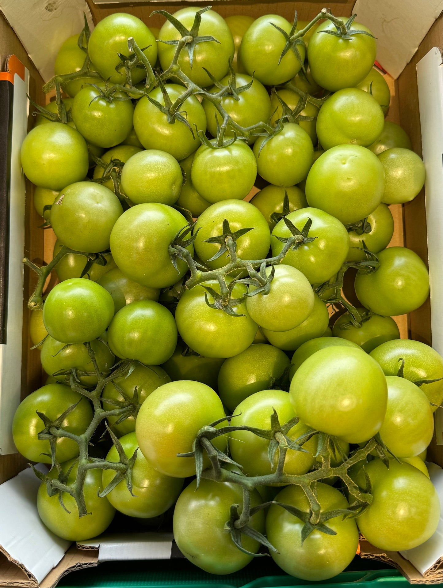 Vine Green Tomatoes