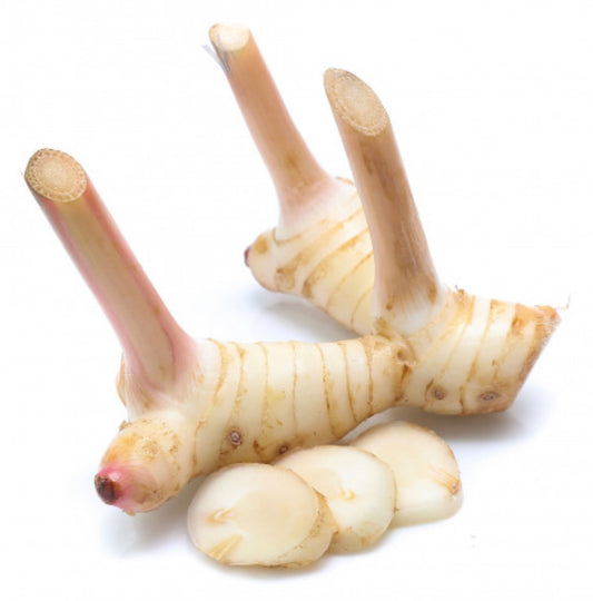 Thai Galangal 500g pack