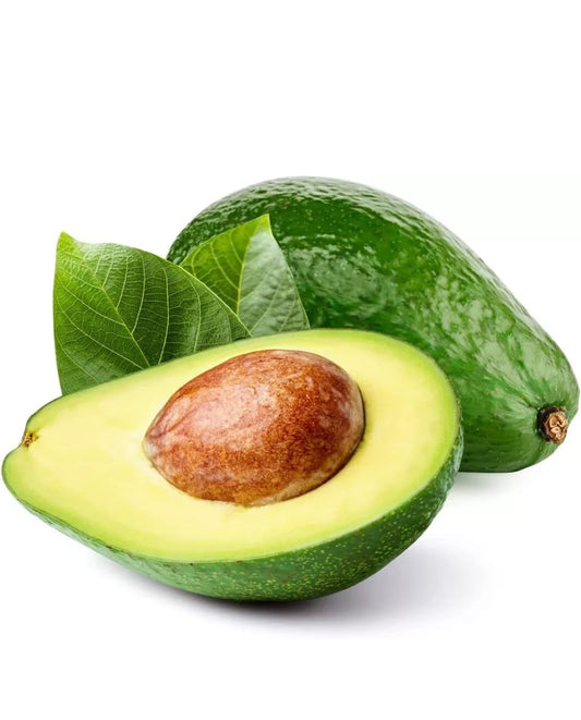 Avocado XL