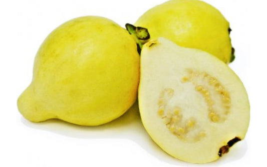 Egyptian Yellow Guava  (Each)