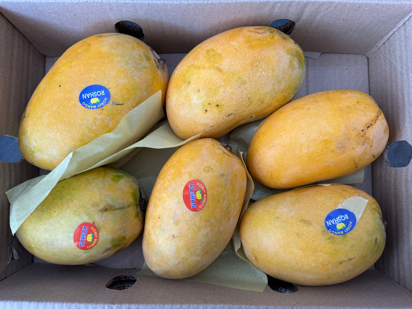 Ripe Chousa Mango Box