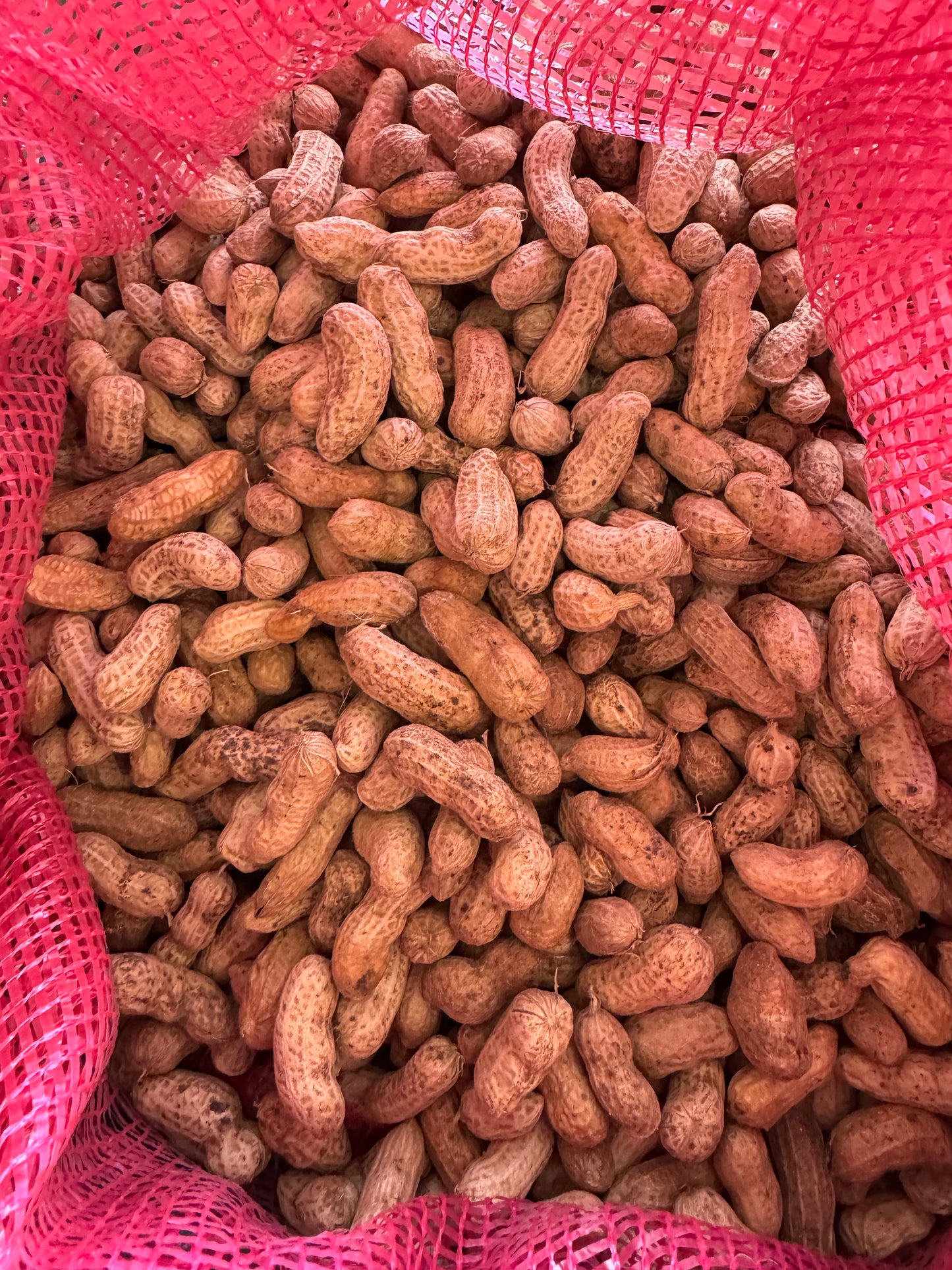 Raw Monkey Nuts per Kg