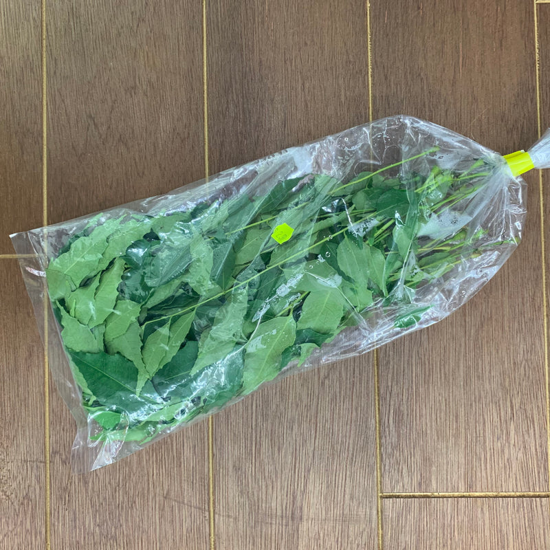 Fresh Curry Leaves 10g Bag