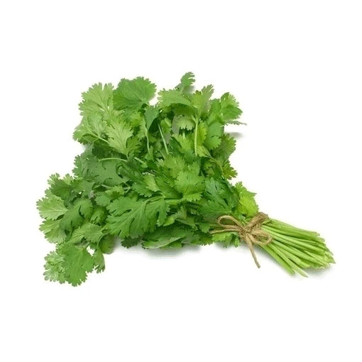 Fresh  Coriander Bunch