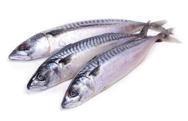 Mackerel (bag of 3)