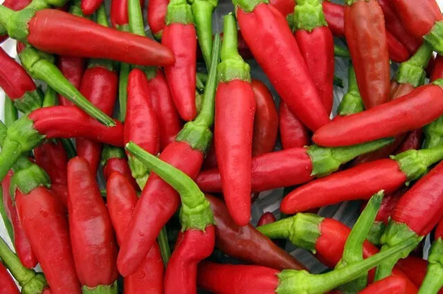 Red bird Eye Chili per 1kg