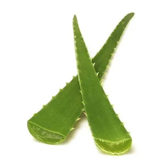 Fresh Aloe Vera Leaves 1kg